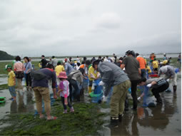画像：アオサのお掃除大作戦！！