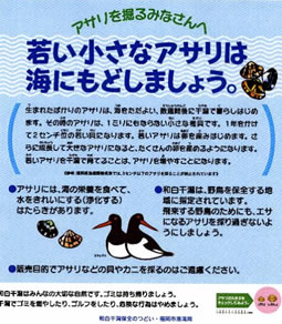 画像：潮干狩りの啓発看板