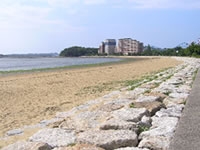 画像：養浜した砂浜と護岸