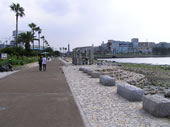 画像：護岸と遊歩道	