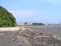 画像：香住ヶ丘の岩礁帯