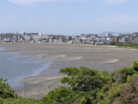 画像：和白干潟