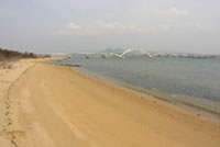 画像：海の中道の砂浜