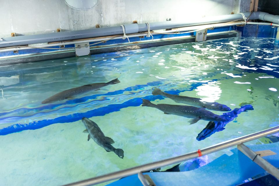 バックヤードツアーの様子