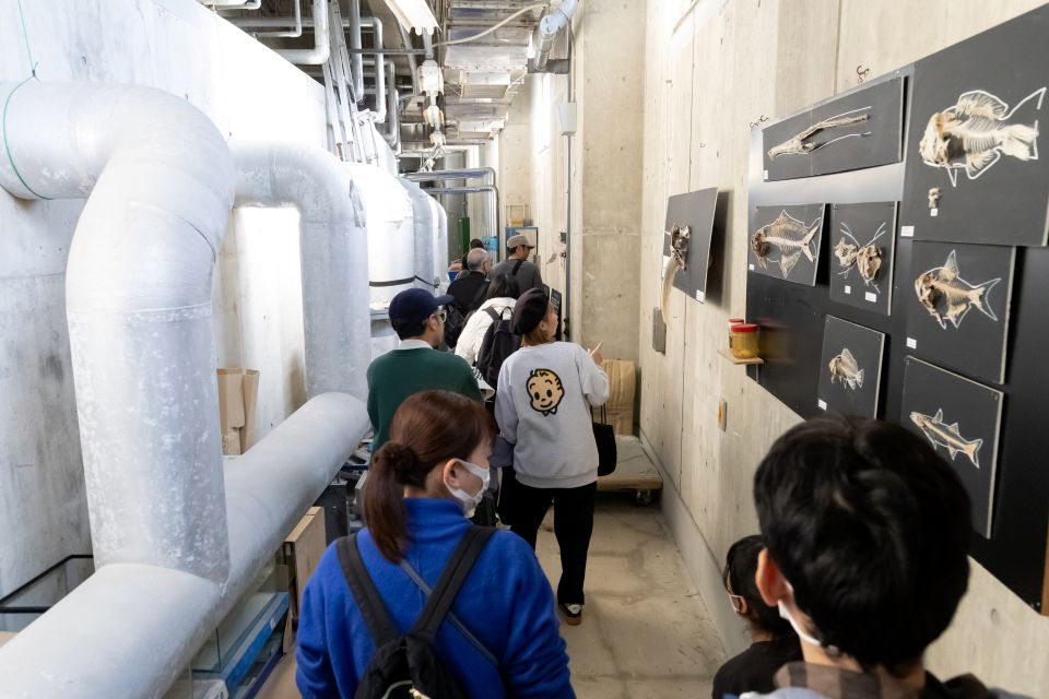 バックヤードツアーの様子