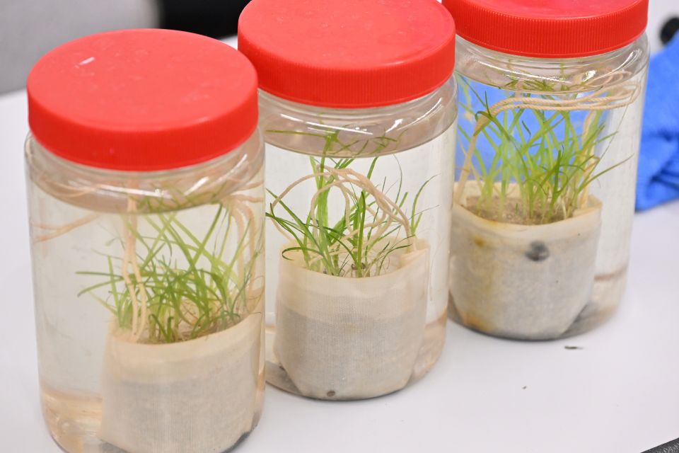 ポットをつくる様子