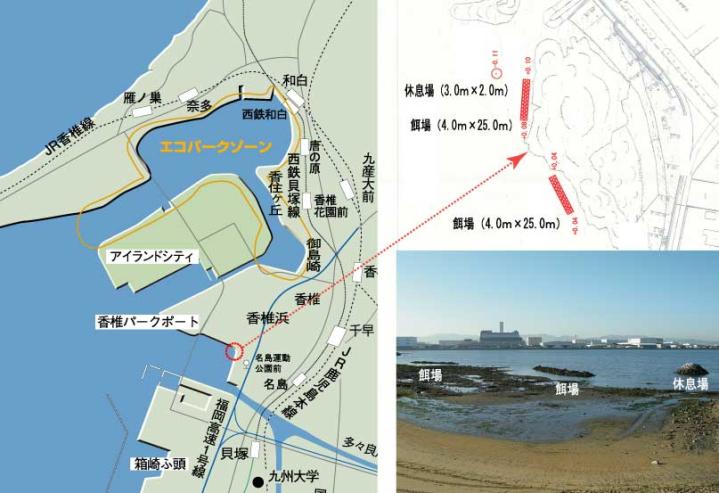 名島海岸の地図の画像