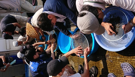 浮いた枝等を取り除いている様子