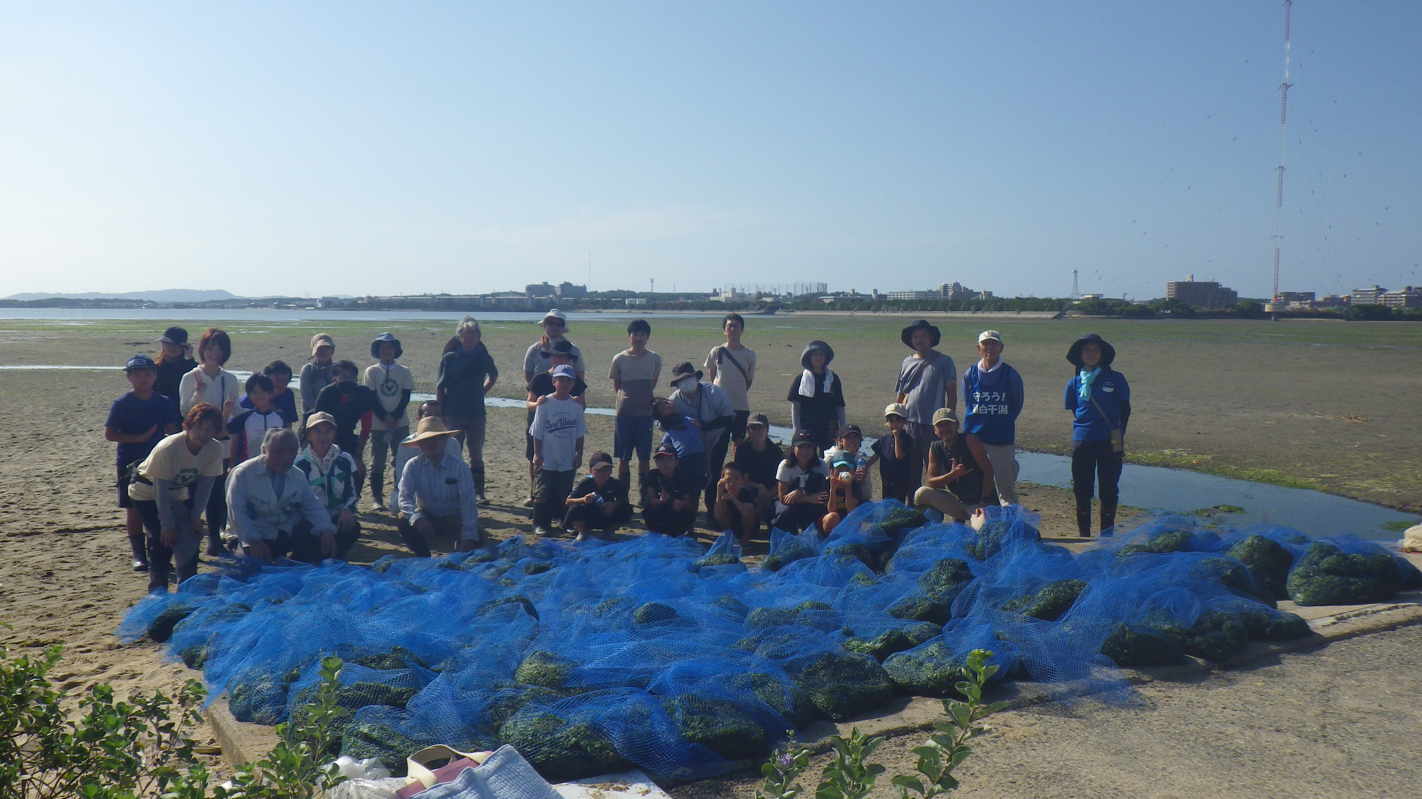 アオサのお掃除③