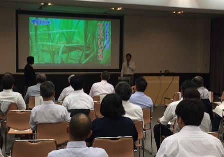 海の中の動画放映の様子