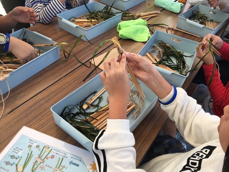 竹割りばしアマモ苗づくりの様子