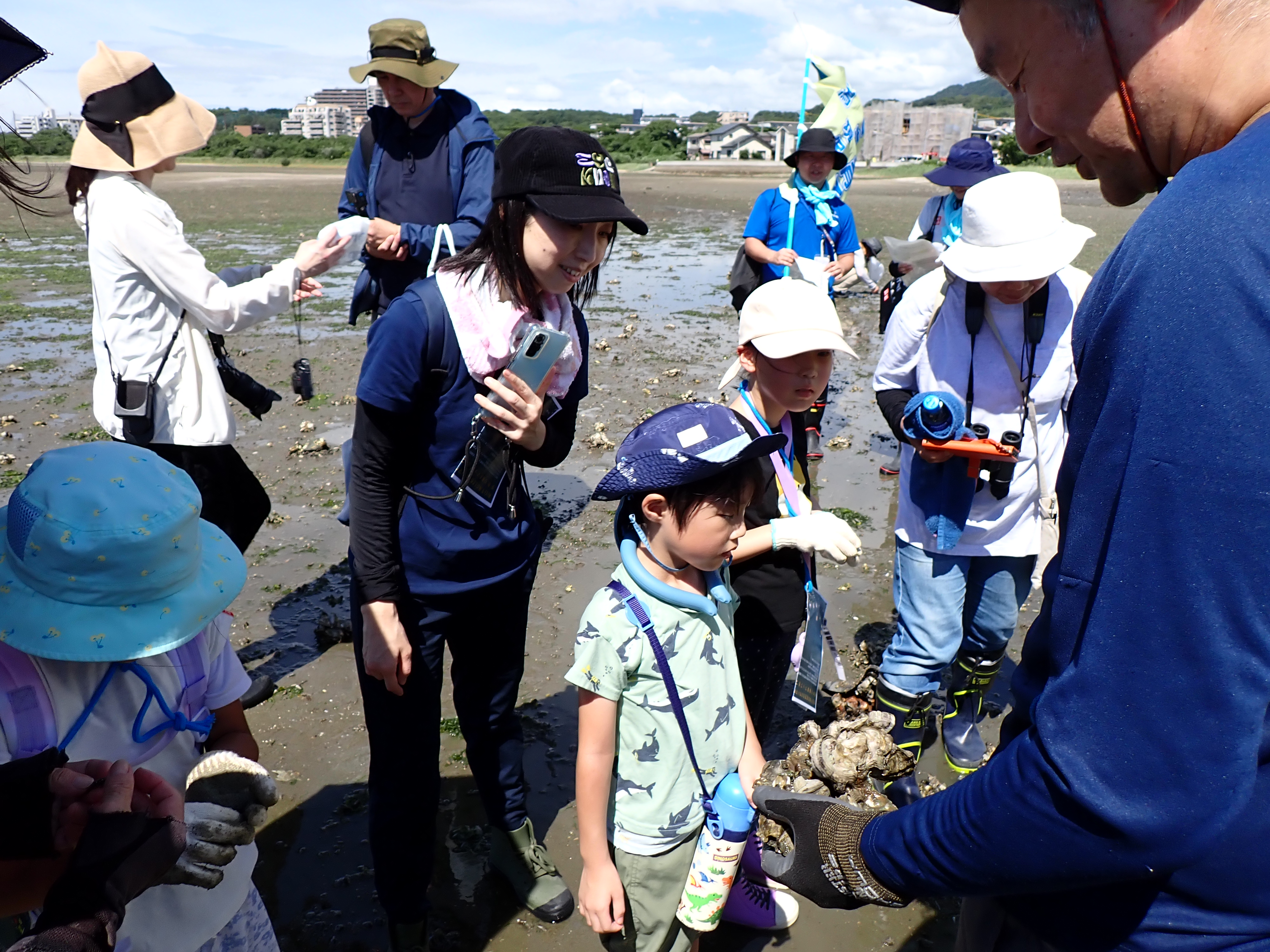 生きもの観察の様子
