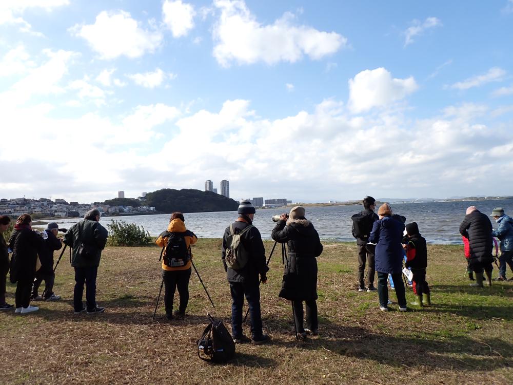 バードウォッチング in 和白干潟2024の様子