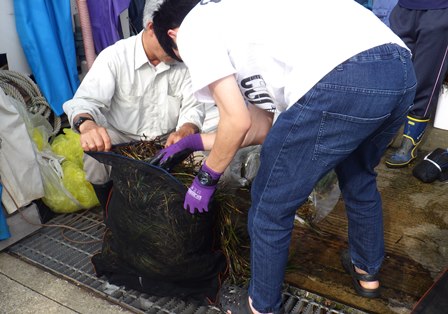 花枝を袋に詰める作業の写真