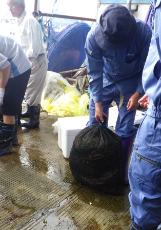 花枝を入れた袋の口を縛る作業の写真