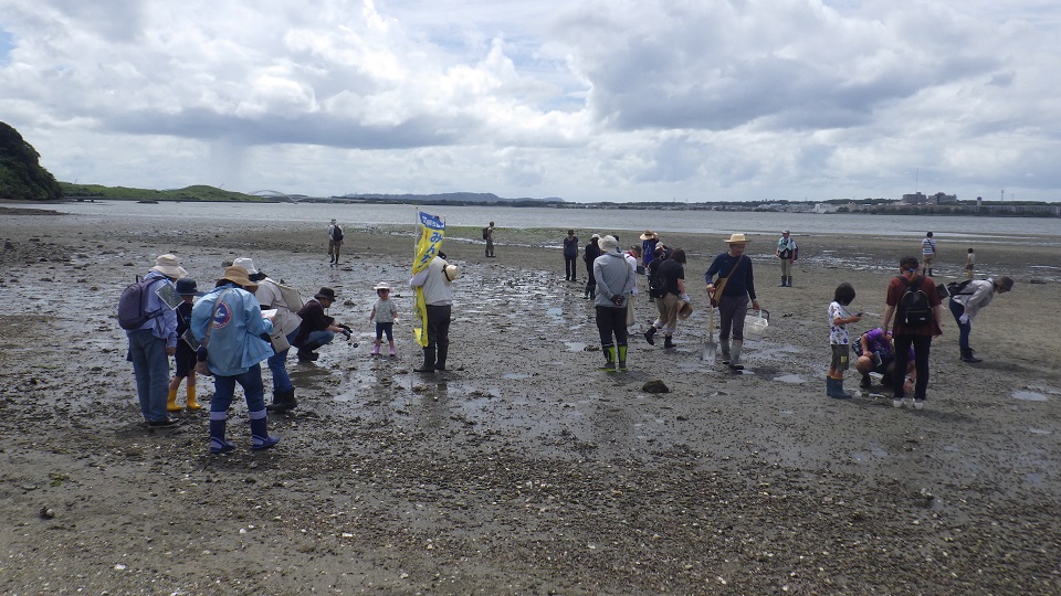 生き物を探している様子