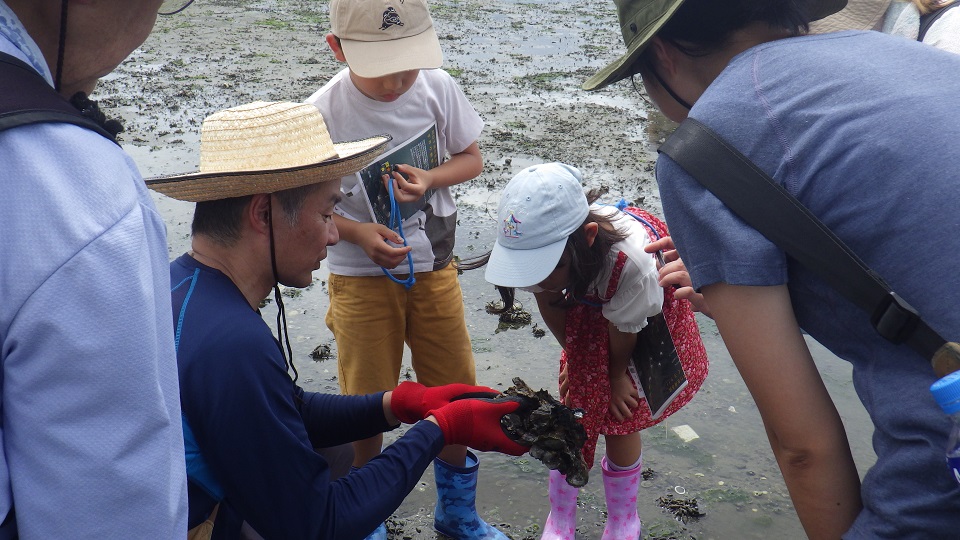 生き物観察している写真