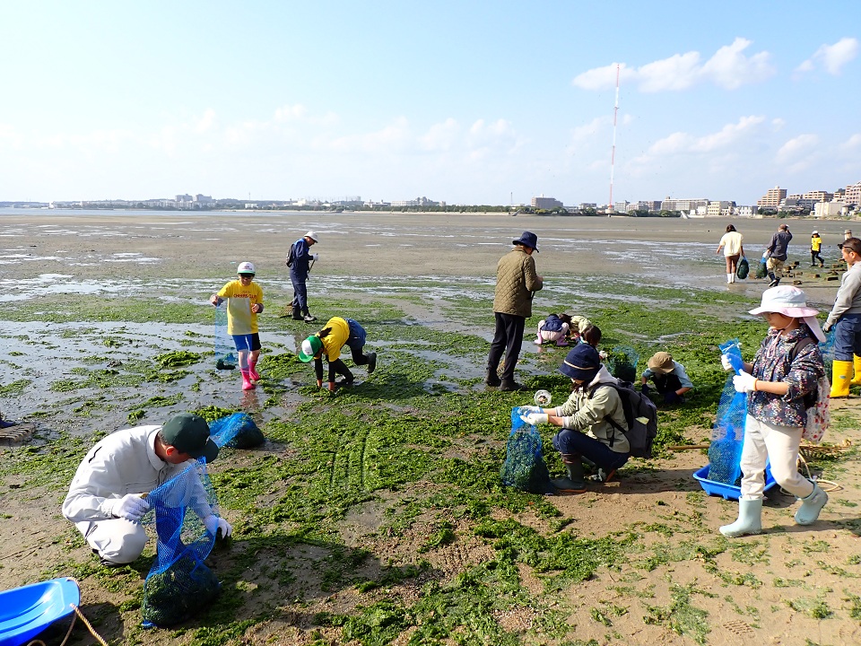 アオサ回収の様子②