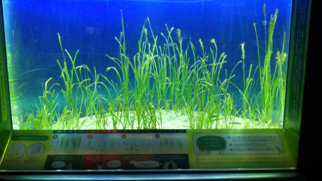 シンポジウム開催報告２