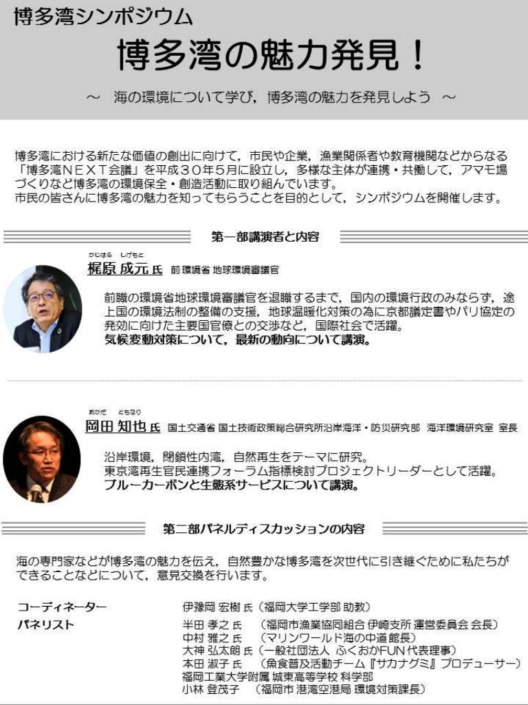 プログラム裏面