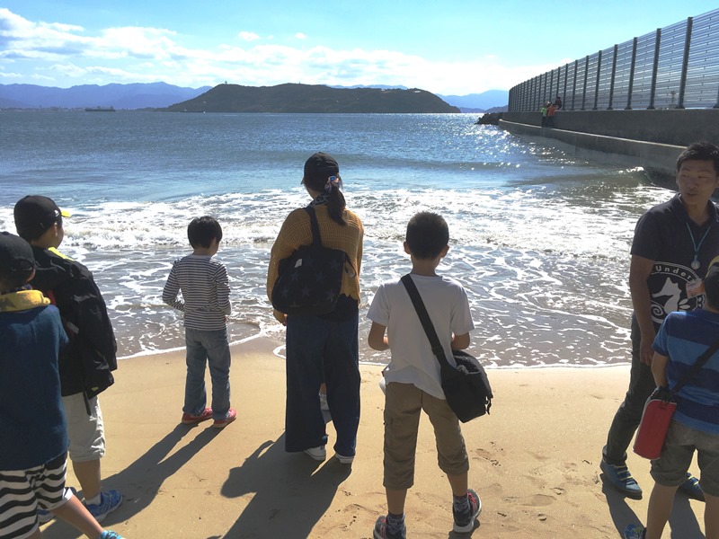 志賀島の天然アマモ場にアマモ種子粘土を投入