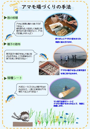 ブルーカーボンと福岡市の取組み４