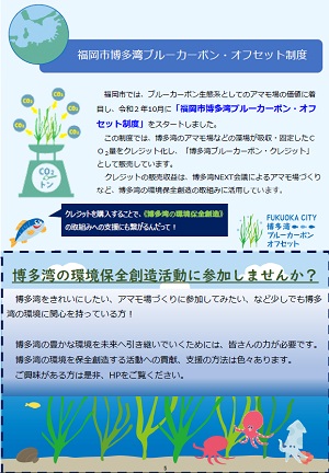 ブルーカーボンと福岡市の取組み５
