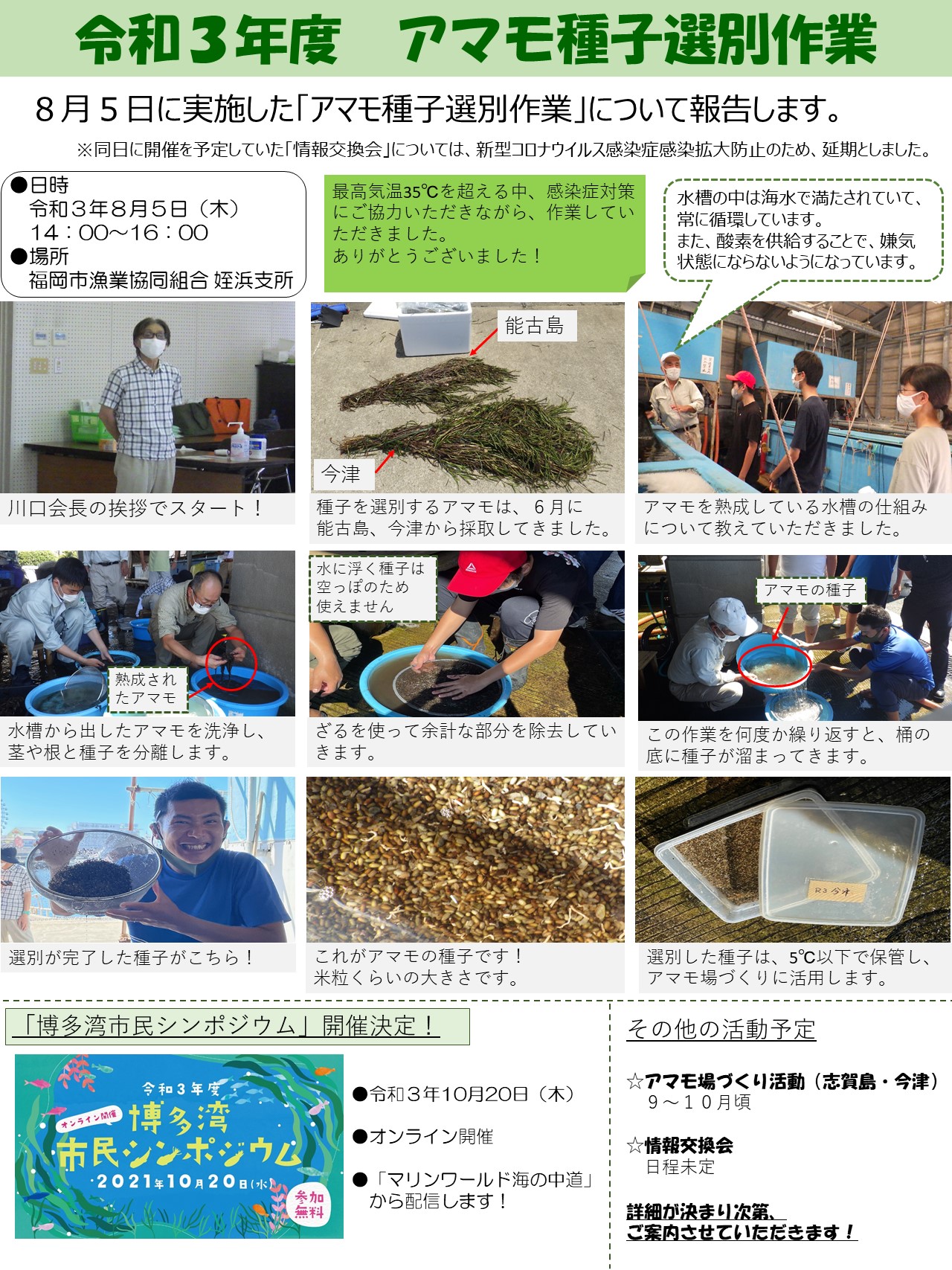 日時：令和3年8月5日（木曜日）14時から16時まで。場所：福岡市漁業協同組合姪浜支所。川口会長のあいさつでスタート。種子を選別するアマモは6月に能古島、今津から採取してきました。アマモを熟成している水槽の仕組みについて教えていただきました。水槽から出したアマモを洗浄し、茎や根と種子を分離します。ざるを使って余計な部分を除去していきます。この作業を何度か繰り返すと、桶の底に種子がたまってきます。アマモの種子は米粒くらいの大きさです。選別した種子は5度以下で保管します。
