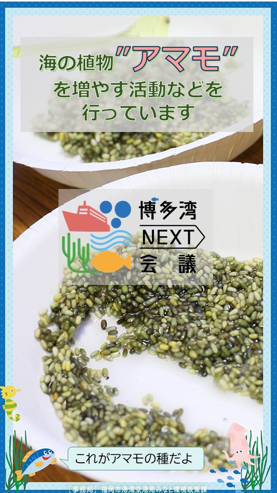 博多湾NEXT会議活動紹介動画　総集編