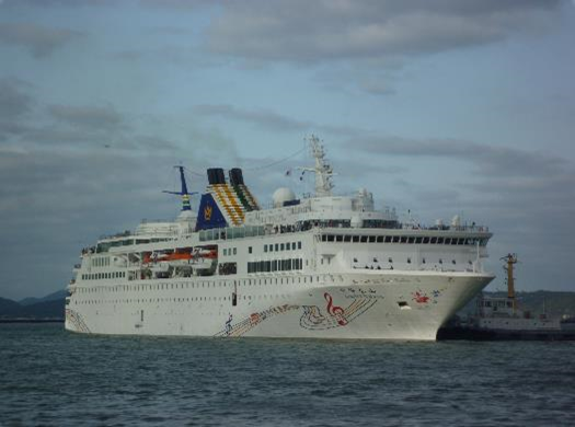 チャイニーズ・タイシャンの全景写真