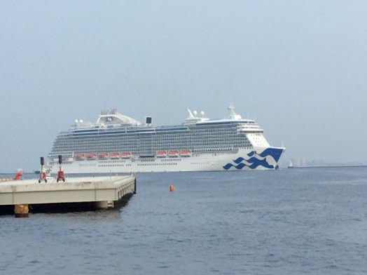 マジェスティック・プリンセスの全景写真