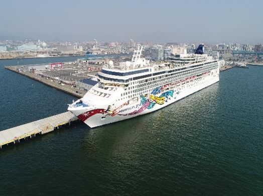 ノルウェージャン・ジュエルの全景写真