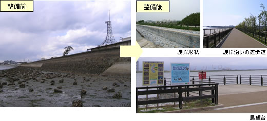 画像：和白干潟ゾーン