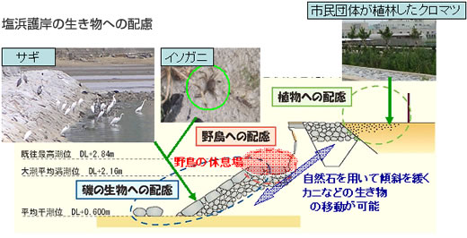 画像：塩浜護岸の生き物への配慮