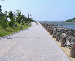 画像：アイランドシティの外周緑地と遊歩道