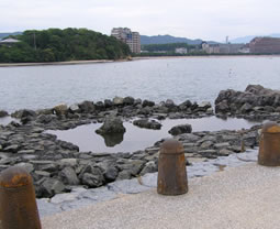 画像：整備した潮だまり（タイドプール）