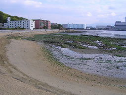 画像：名島海岸