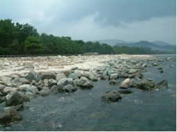 画像：生の松原海岸