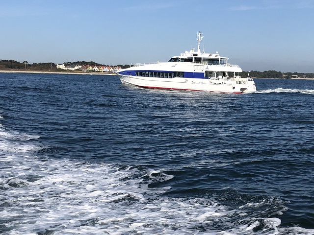 きんいん１の写真