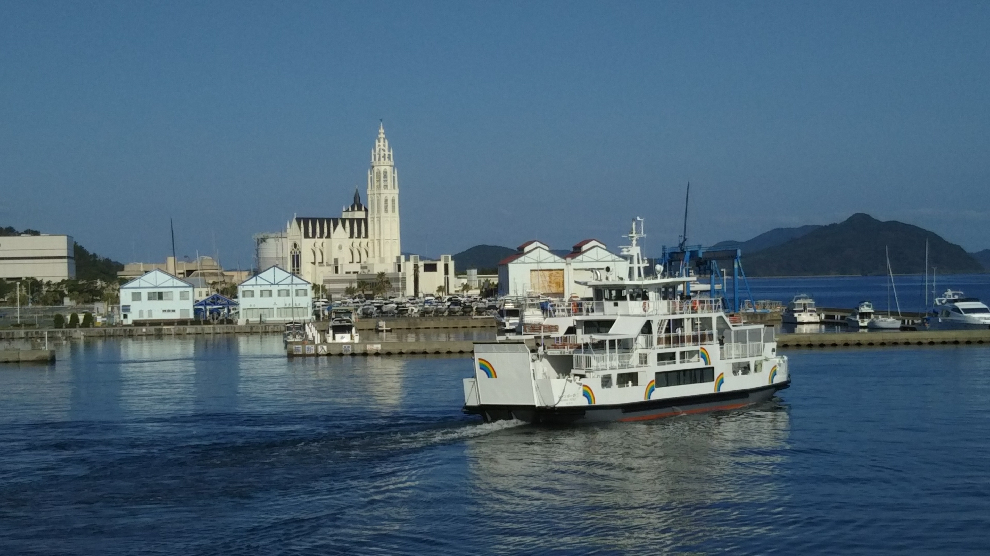 レインボーのこ の写真