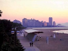 多彩な表情の写真