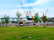 かもめ広場の写真