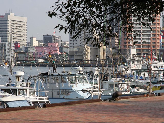 福岡船だまりの写真