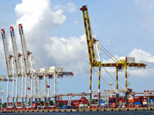 キリン柄ガントリークレーンの写真