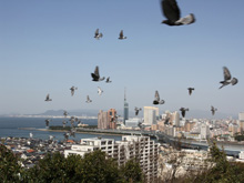 愛宕神社の写真