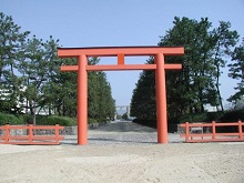 海辺の鳥居の写真