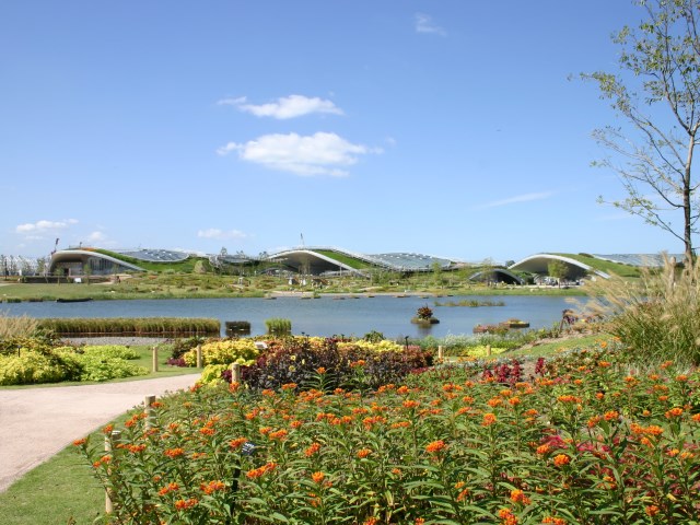 アイランドシティ中央公園の写真