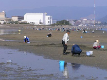 潮干狩りの写真
