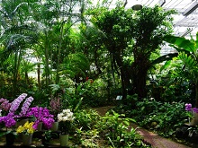 ぐりんぐりんの写真