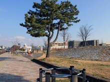 香椎浜北公園の写真